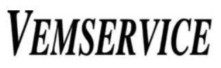 Vemservice logga
