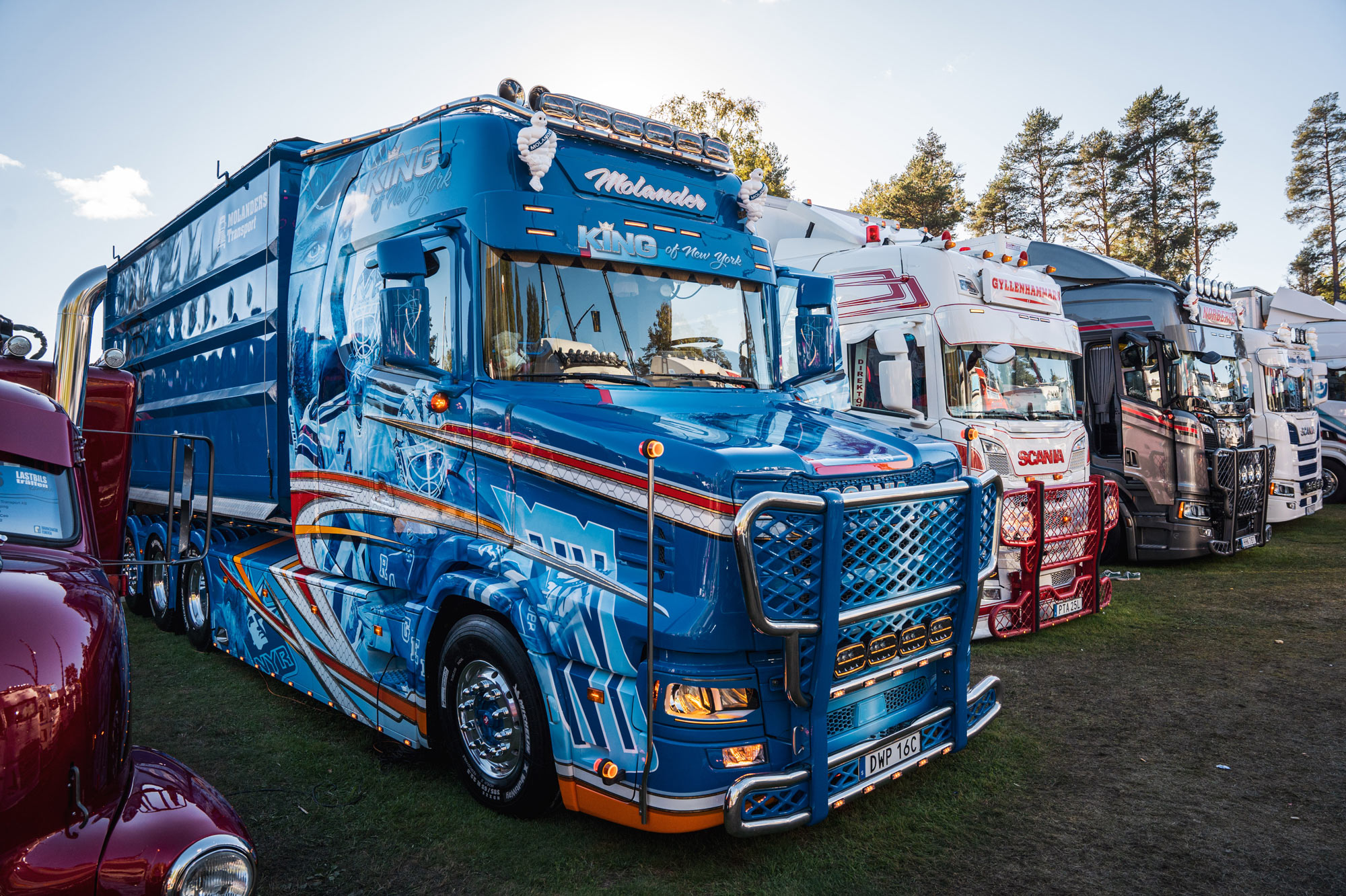 Flera lastbilar på rad i skog.