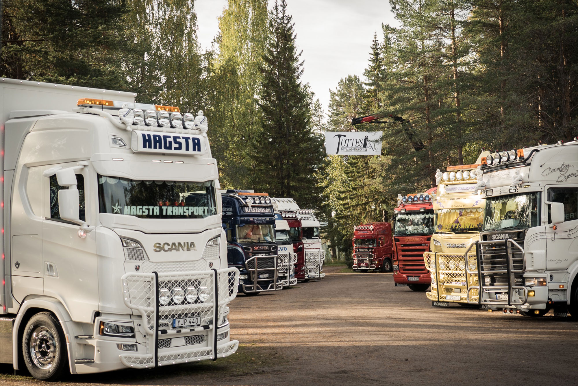 Flera lastbilar på rad i skog.